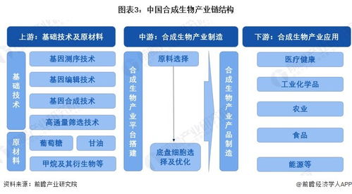 2024年中国合成生物产业全景图谱 规模、布局与技术路线解析